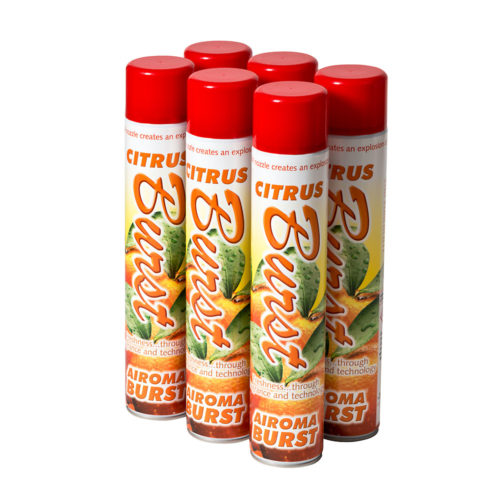 Airoma Burst Spuitbus Citrus 750 ml