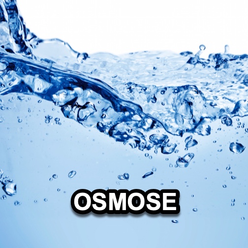 Osmose Water